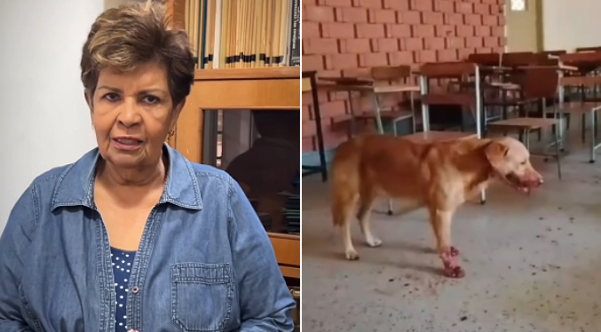 Decana de la FHE de LUZ anuncia investigación por el maltrato a Toby y sanción para el responsable