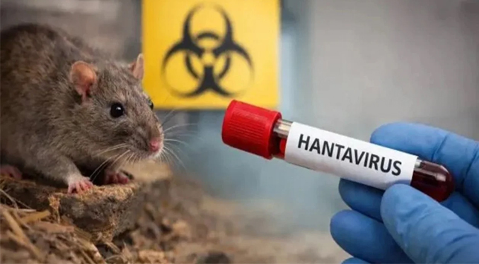 Dos neerlandeses muertos y un británico enfermo por posible brote de hantavirus en crucero