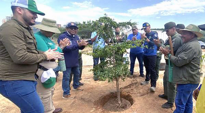 Maracaibo impulsa una nueva ordenanza para fortalecer la arborización urbana con enfoque ambiental