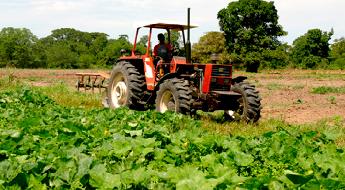 Fedeagro reitera que recuperación del campo venezolano requiere $1.500 millones