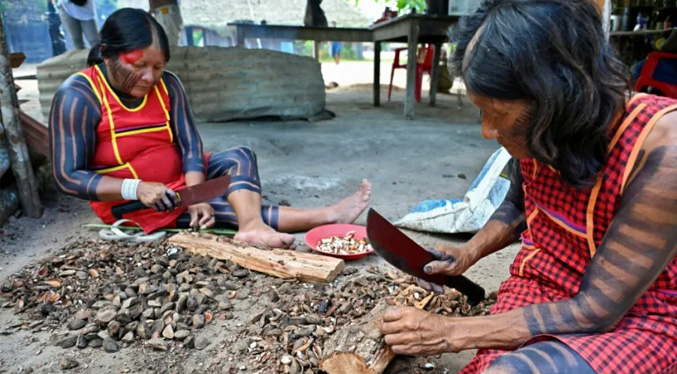 Una nueva fiebre del oro pone en jaque tierras protegidas de la Amazonía brasileña