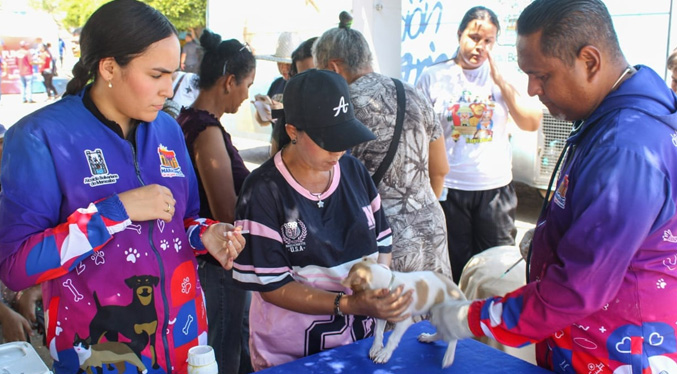 Esterilizan más de 100 animales en jornada del IMPA