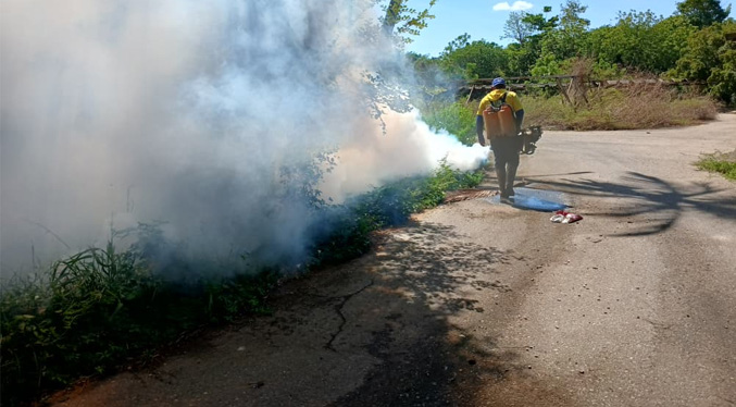 Alcaldía de Maracaibo ejecuta fumigación en las parroquias Santa Lucía y Olegario Villalobos