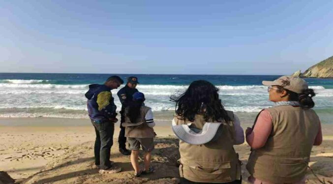 Funvisis descarta daños estructurales graves tras sismos en costas de Choroní