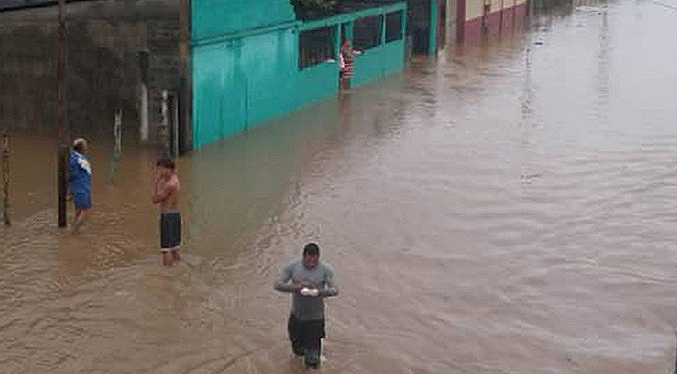 Continúan afectadas 30 familias por crecida del río Orinoco