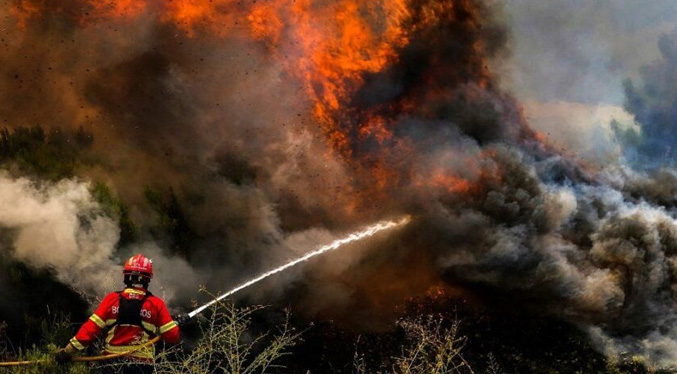 Los incendios arrasan un 32 % más de superficie forestal en la UE que hace un año