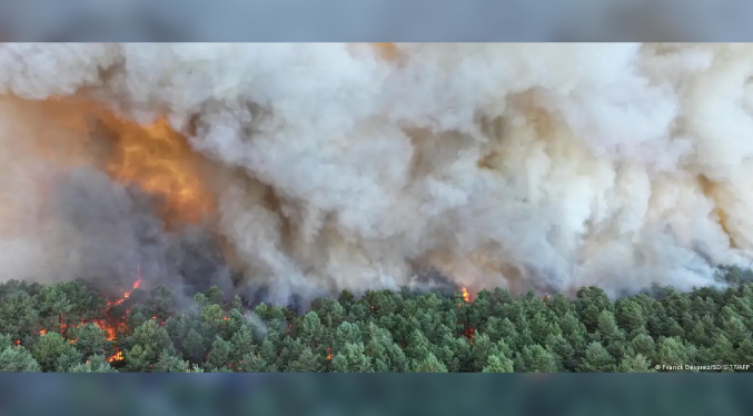 Incendio arrasa el bosque de Fontainebleau, cerca de París