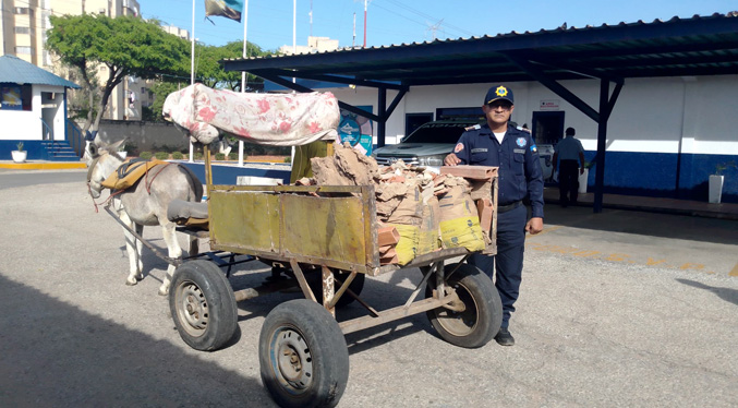 CPEZ rescata a un burro que era obligado a cargar escombros en Maracaibo