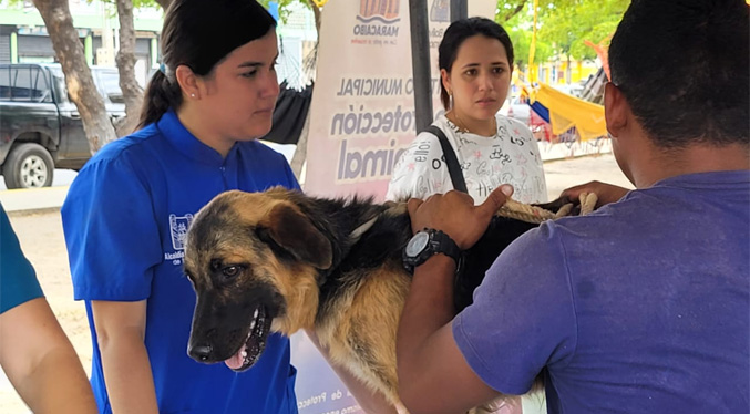 Alcaldía de Maracaibo se incorpora con Ministerio de Salud al plan masivo de vacunación contra la rabia