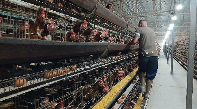 Gobernación del Zulia impulsa la producción agroindustrial en alianza con el sector privado
