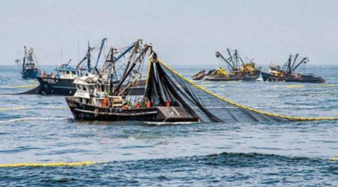 La actividad de pesca en Perú se redujo 51,94 % en junio por efectos de El Niño