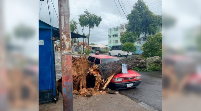 Onda Tropical 41 provocó caída de árboles y daños en diversas zonas de Monagas