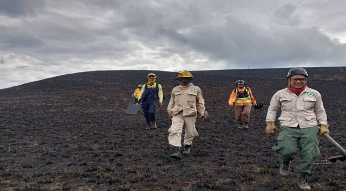 Incendio forestal en Mérida afecta a más de 160 hectáreas