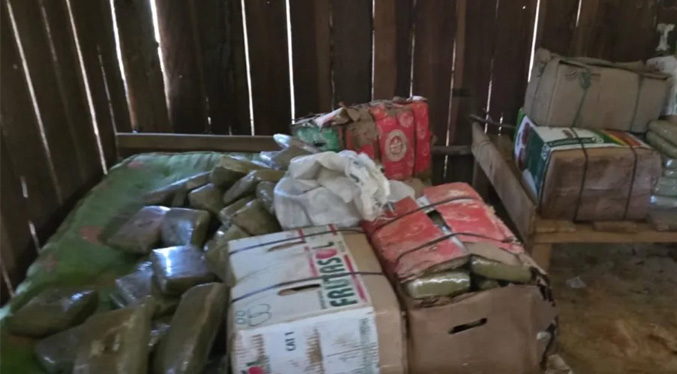Colombia incauta media tonelada de marihuana de la Segunda Marquetalia que iba a atravesar Venezuela