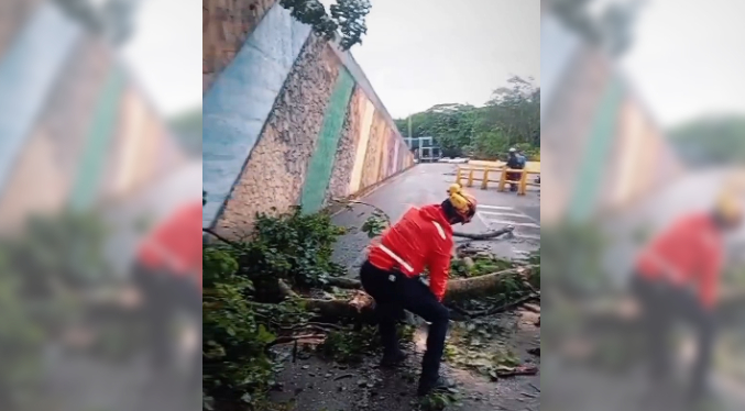 Ocho viviendas y cinco municipios afectados por ráfagas de viento en Táchira