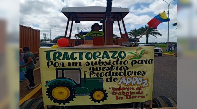 Productores de arroz de Guárico y Portuguesa exigen subsidio y freno a las importaciones