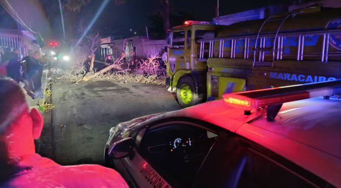 Incidencias menores en cañadas de Maracaibo y ocho árboles caídos tras lluvias de este 10-Sep