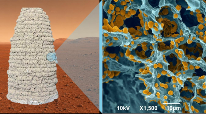 Desarrollan una fórmula basada en levadura y gelatina para imprimir casas 3D en Marte