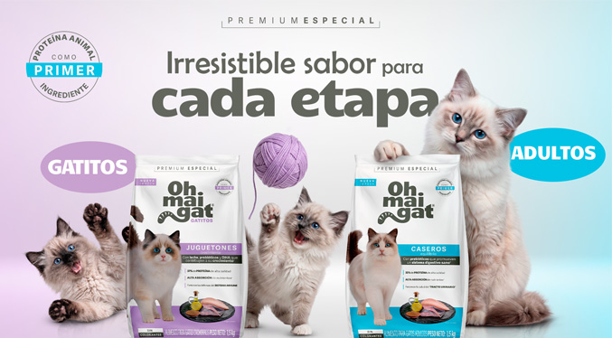 El irresistible sabor de Oh Mai Gat acompaña a tu gato en cada etapa