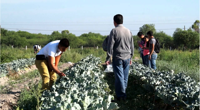Ingenieros agrónomos alertan que ola de calor y sequía amenazan viabilidad de las siembras