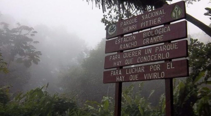 Desarrollan operativo para ubicar a dos jóvenes desaparecidos en el Henry Pittier