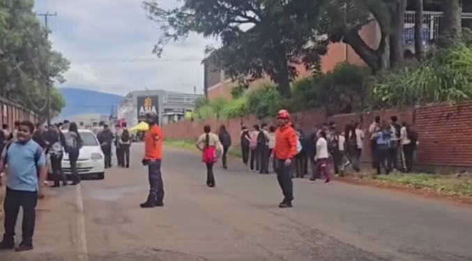 Enjambre de abejas deja 42 aguijoneados y obliga la evacuación de 900 personas